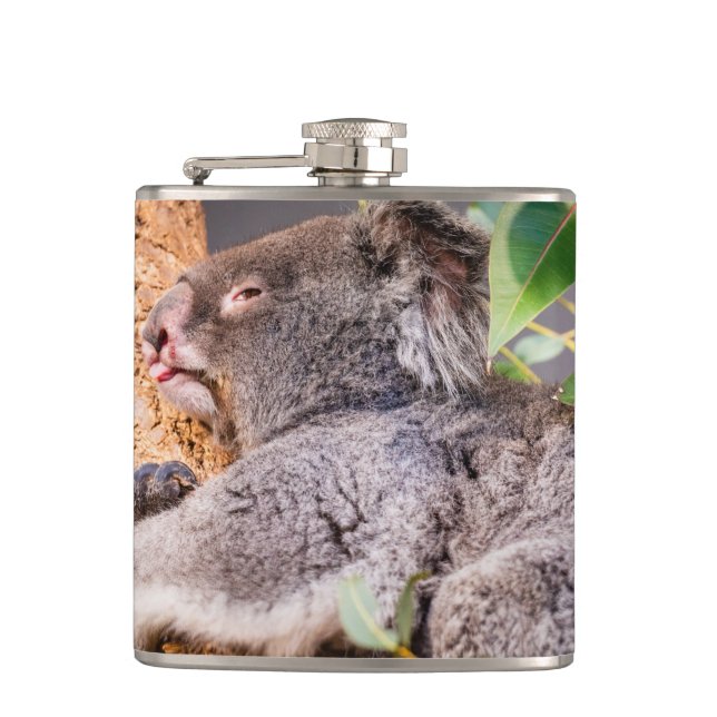 Sweet little koala flask (Front)