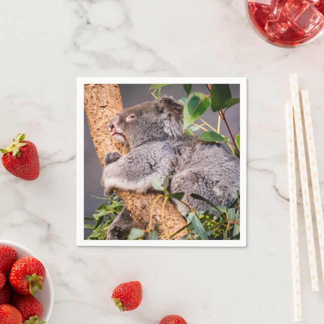 Sweet little koala napkins (Insitu)