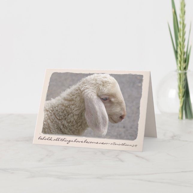 Sweet Little Lamb Custom Text Easter/Spring Holiday Card (Front)