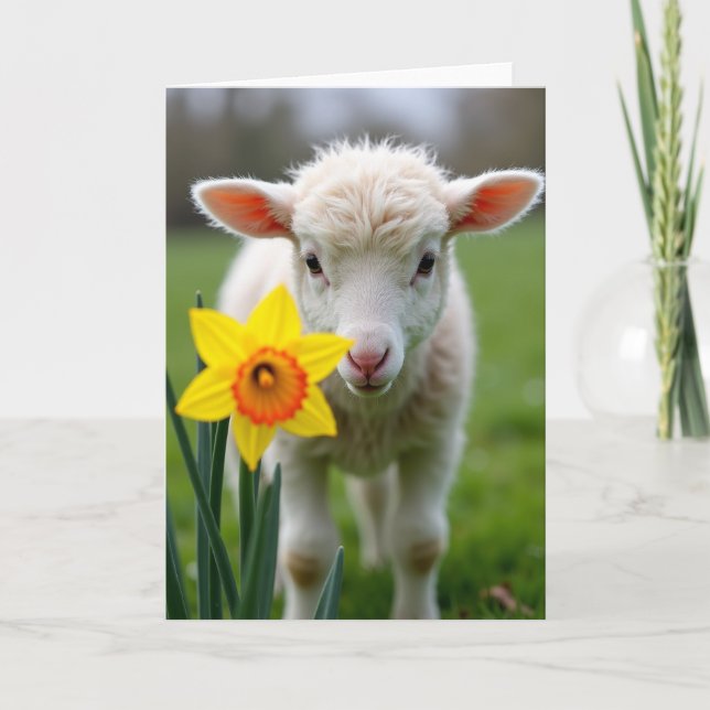 Sweet Little Lamb Springtime Card (Front)