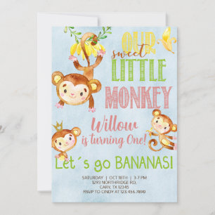 Sweet little monkey any age girl birthday invite. invitation