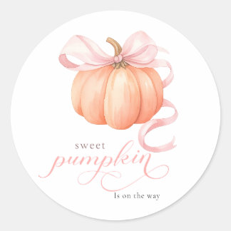 Sweet Little pumpkin pink bow is on the way Classic Round Sticker