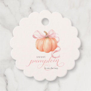 Sweet Little pumpkin pink bow is on the way Favor Tags