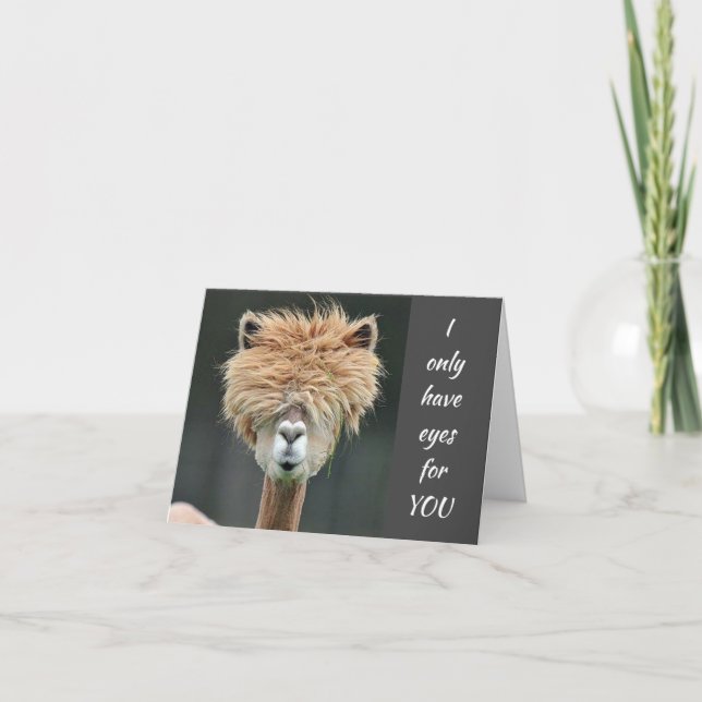 **SWEET LLAMA** WANTS TO SAY "MERRY CHRISTMAS" HOLIDAY CARD (Front)