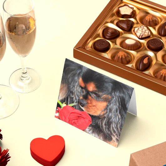 Sweet Love Cavalier King Charles Spaniel Cards