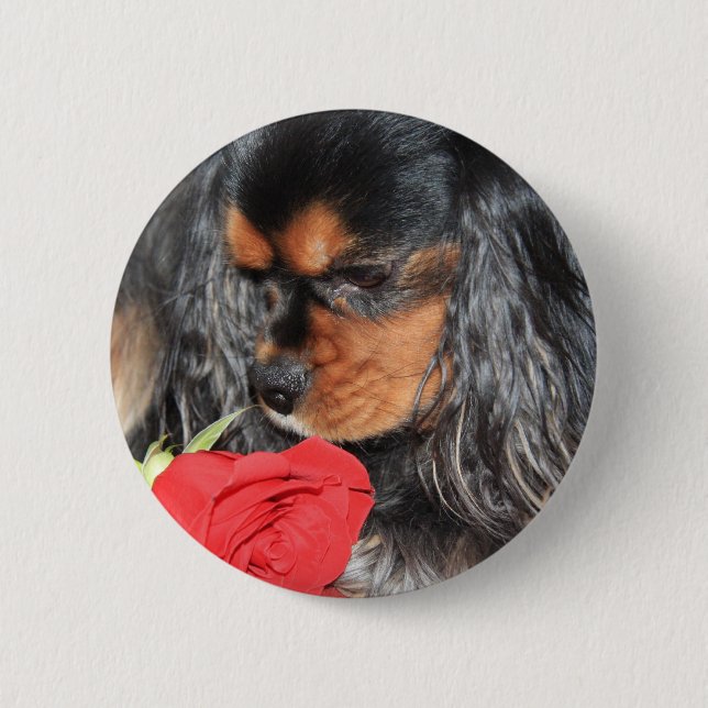 Sweet Love Cavalier King Charles Spaniel Pinback Button (Front)