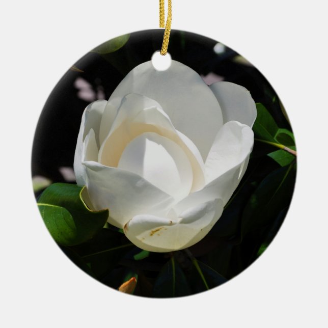 Sweet Magnolia Ceramic Ornament (Front)