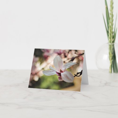 Sweet Magnolias Note Cards