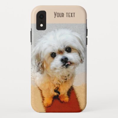 Sweet Malshi iPhone XR Case