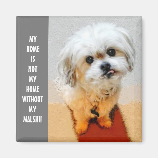 Sweet Malshi Magnet (Front)