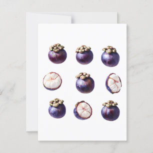 Sweet Mangosteen Tropical Fruit Postcard