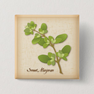 Sweet Marjoram Herb Pinback Button