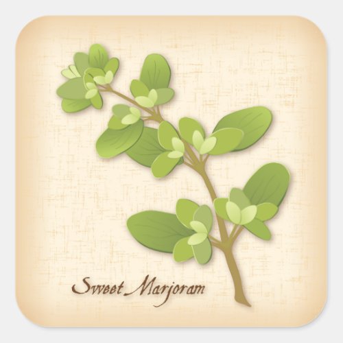 Sweet Marjoram Herb Square Sticker