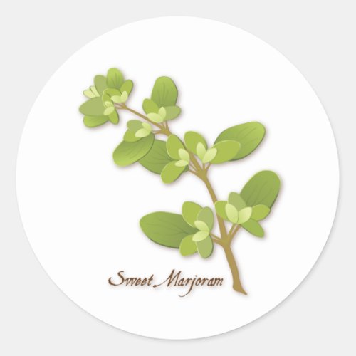 Sweet Marjoram Round Sticker