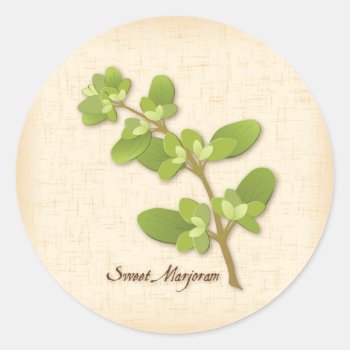 Sweet Marjoram Round Sticker by pomegranate_gallery at Zazzle