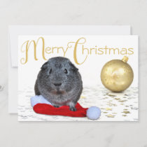 Sweet Merry Christmas Guinea Pig Gold Ornament Holiday Card