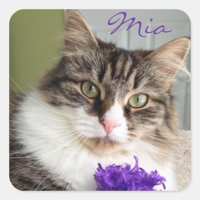 Sweet Mia Sticker (Front)