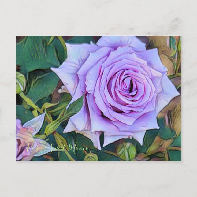 Sweet Moon Postcard (Front)
