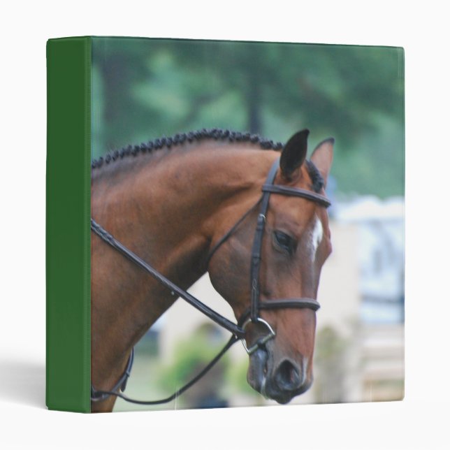 Sweet Morgan Horse Binder (Front/Spine)