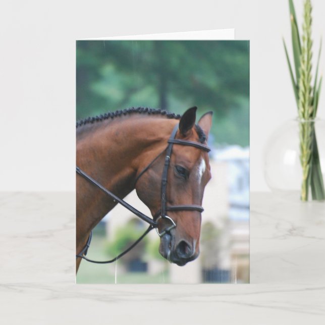 Sweet Morgan Horse Greeting Cards (Front)