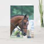 Sweet Morgan Horse Greeting Cards