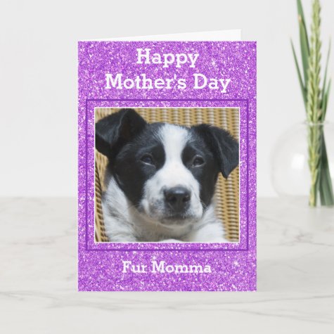 Sweet Mother's Day Girly Glitter Custom Pet Photo