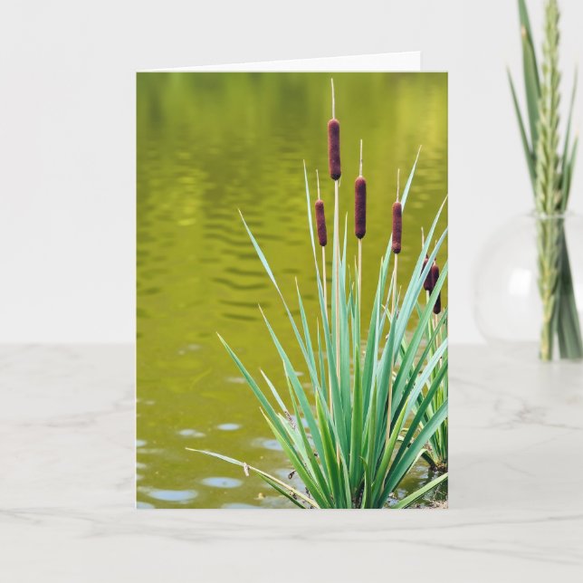 Sweet Mothers Day Reed Card (Front)