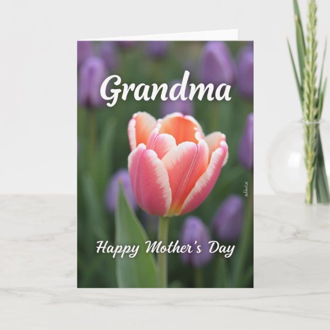 Sweet Mothers Day Tulip Bloom Card (Front)
