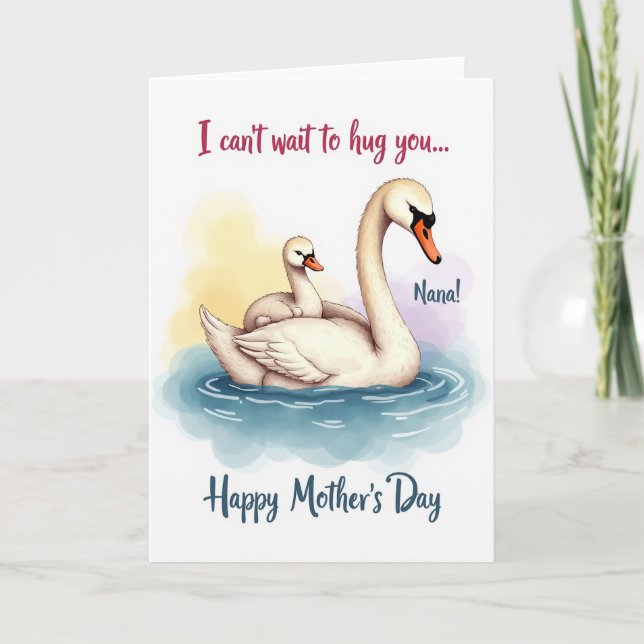 Sweet Nana Bird Family Mothers Day Card (Front)