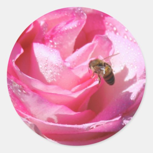 Sweet Nectar after a Light Rain Shower Flower Bee Classic Round Sticker