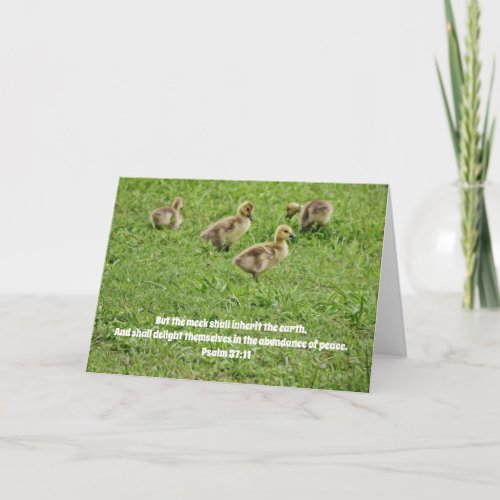Sweet New Baby Geese Scripture Card Psalm 3711