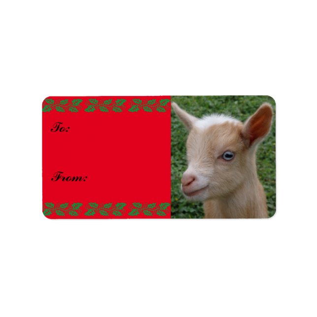 Sweet Nigerian Dwarf Goat Kid Christmas Gift Tag (Front)