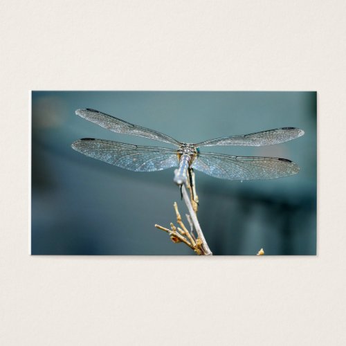 Sweet note (dragonfly) business card