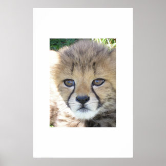 Sweet November Poster