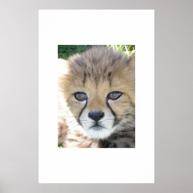 Sweet November Poster (Front)