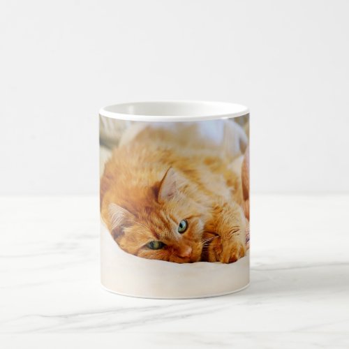 Sweet Orange Cat Mug