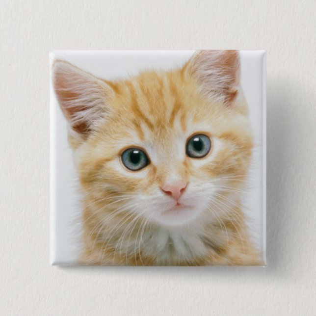 Sweet Orange Tabby Button (Front)