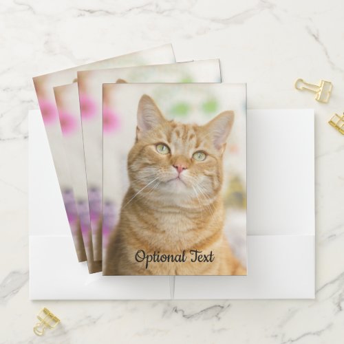 Sweet Orange Tabby Cat Pocket Folder