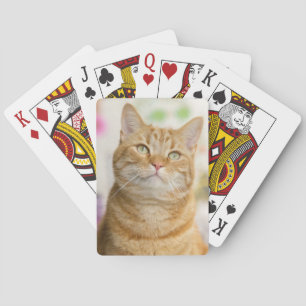 Sweet Orange Tabby Cat Poker Cards