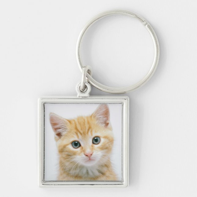 Sweet Orange Tabby Keychain (Front)