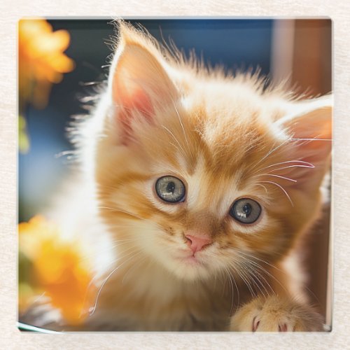 Sweet orange tabby kitten  glass coaster