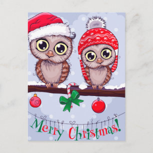 Sweet Owl in Christmas Postcard