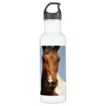 Sweet Paint Horse Water Bottle