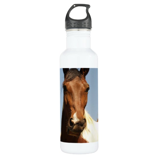 Sweet Paint Horse Water Bottle (Front)