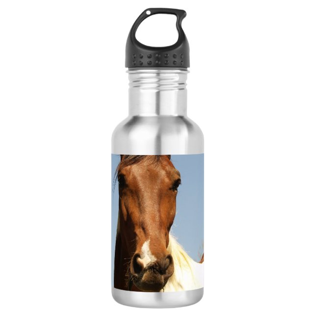 Sweet Paint Horse Water Bottle (Front)