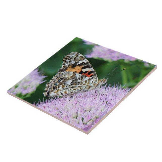 Sweet Painted Lady Ceramic Tile (Side)
