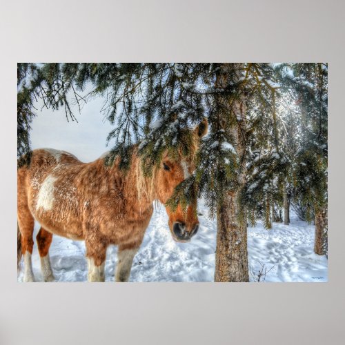 Sweet Palomino Paint Horse Sheltering from Snow Poster