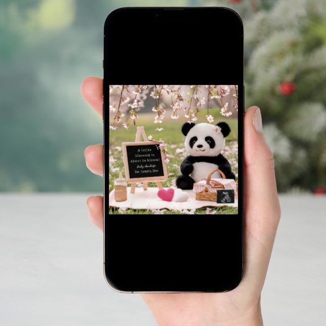 sweet panda and  blossom pregnancy announcement  (Front Digital)