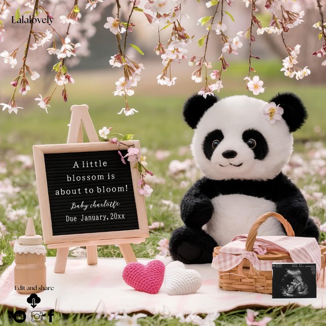 sweet panda and  blossom pregnancy announcement  (Creator Uploaded)