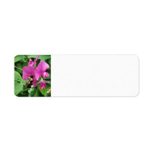 Sweet pea and bee address label